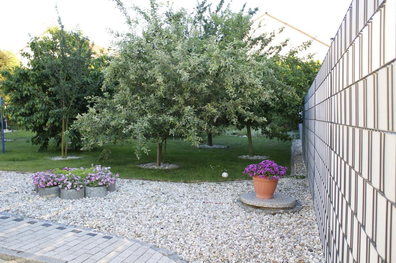 Studio-Appartement Neunburg Vorm Wald Exterior photo